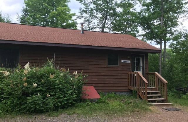 Wisconsin Northwoods Lakeside Cabin w/private dock. 394-acre lake! Pet Friendly!