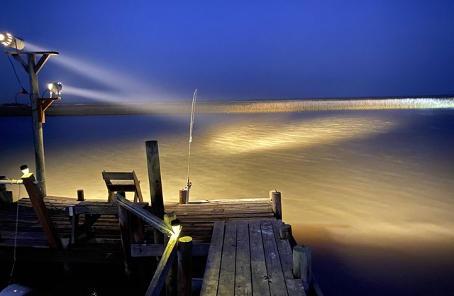 SPRING into great fishing at Paradise Found.