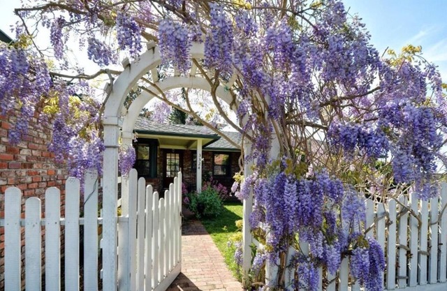Wisteria - Carmel House - Close to Downtown, Beaches, Big Sur and Pebble Beach