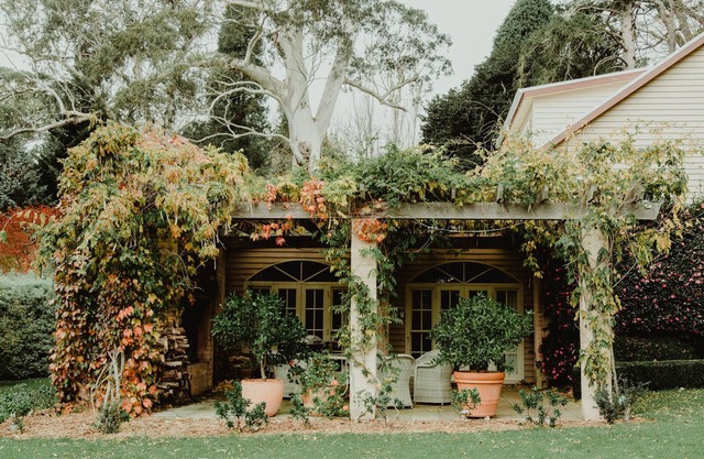 Wisteria Lodge | Mt Wilson | 24 Morgen etablierter botanischer Garten