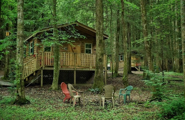 With a king sized bed BEAR'S LAIR gives comfort of home plus an outdoorsy vibe!