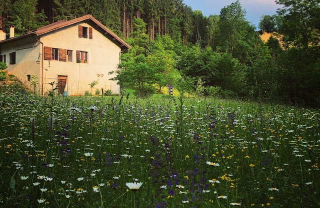 In der Natur am Eingang des Nationalparks der Dolomiti Bellunesi