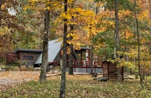 Wolf & Bears at Little River Canyon