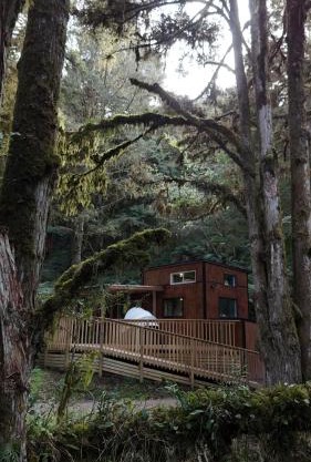 Wonderforest 2 Bedroom Tiny house Ruapehu Unique Stays