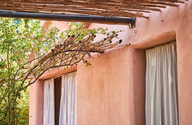 Wunderschoene Wohnung im Garten- oekologisch zwischen Weinberg und Olivenhain