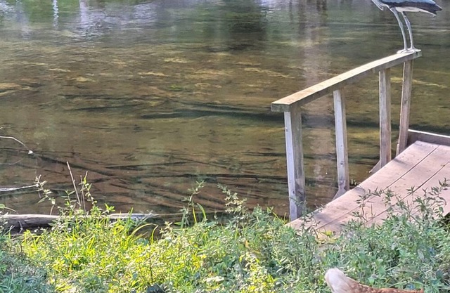 Wood cabin by the river