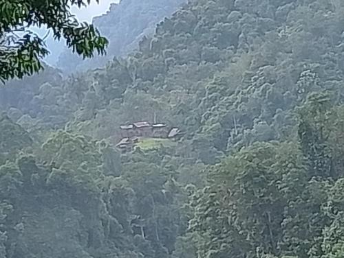 WOOD CABIN LODGE IN THE FOREST book here treking with us