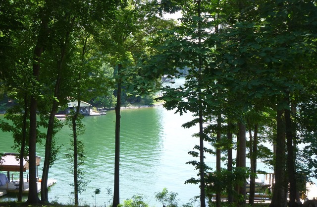 Wooded Lakeside Retreat in einer ruhigen Bucht.