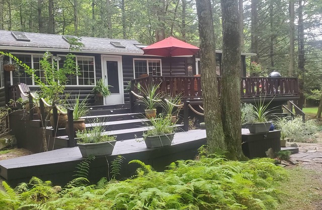 Bewaldete Streamside Catskills Kabine