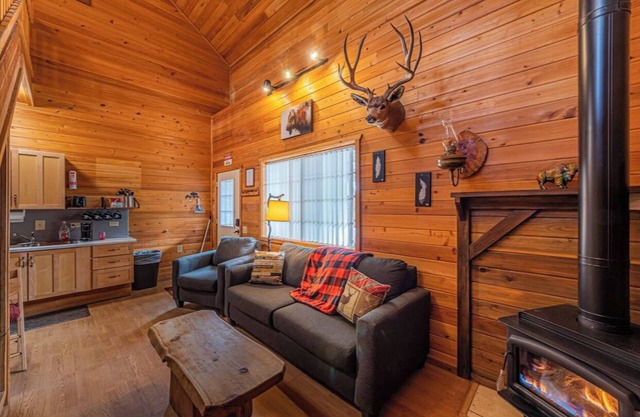 Buffalo Herd Cabin#1 PetFriendly Backs Nat'l Forest-WIFI+Kitchn-GameRoom+HeatAC