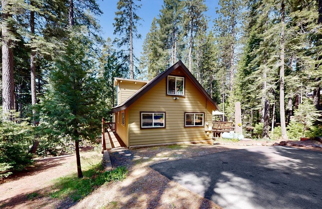 Woodland, dog-friendly house with deck, woodstove, grill, fireplace, & W/D