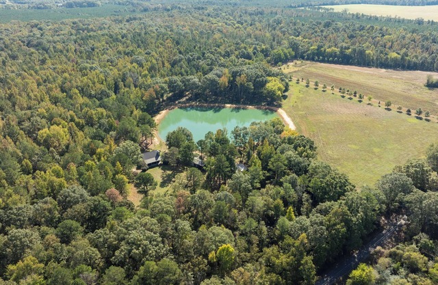Woodland Gameday Getaway Near Tuscaloosa – Pond Views, Pavilion, Firepits & More