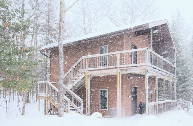 Woodland Lodging | Hillside Perch, Forest Views