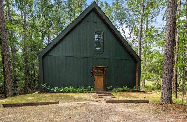 Woodpecker, Cozy Cabin at Sam Houston National Forest (Woodpecker)
