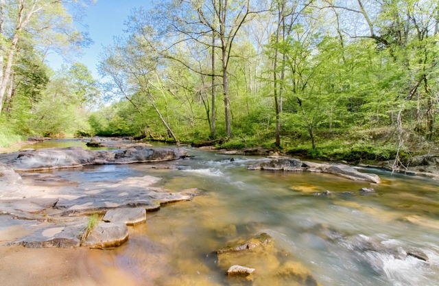 Woods & Water zum Erkunden nur 20 Minuten von Liberty Univ - 10 Minuten von Downtown Lynchburg entfernt