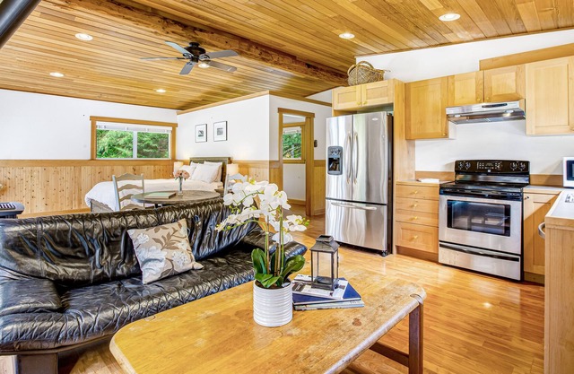 Woodsy studio with high-speed WiFi, gas fireplace, and shared grill
