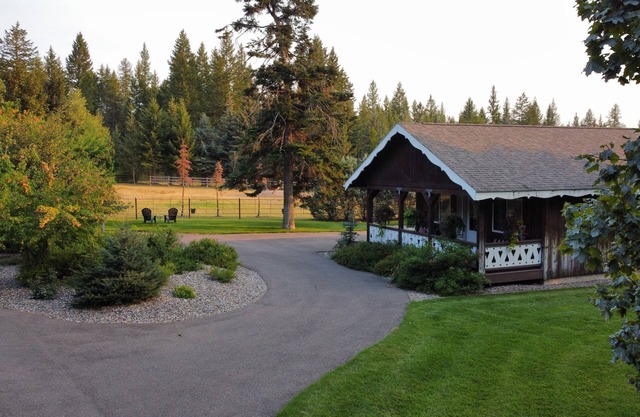 Working Llama Farm Experience Located Just 30 Minutes From Glacier National Park