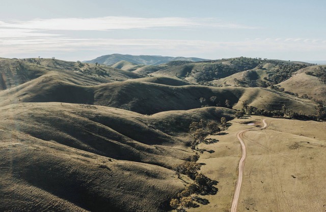 Working Merino Farm Stays in Horrocks Pass, Flinders Ranges