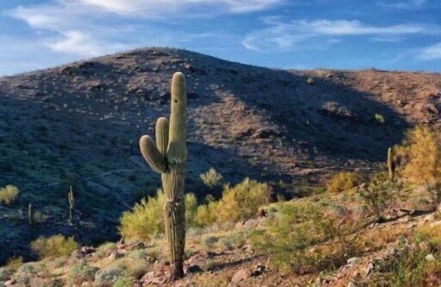 WorldMark South Mountain Preserve - 1 Bedroom