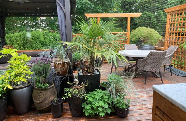 Private home away from home, Indoor Outdoor Cordova Bay amenities & tranquility