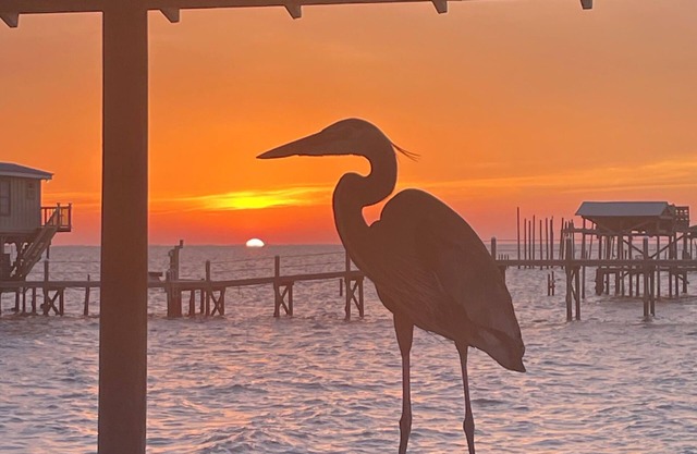 Write on the Bay