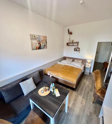 Wunderschönes Apartment mit Bademantelgang zur Wohlfühltherme