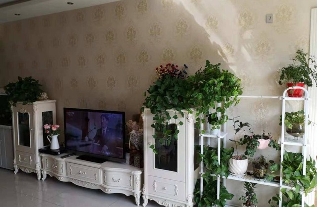 Xiao's Apartment