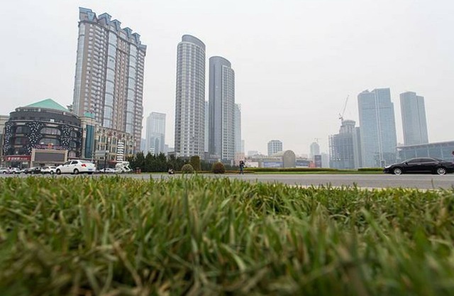 Xinghai Haiyue Bay Suites Apartment