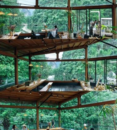 Yangshuo 1Q84 Tree Hotel