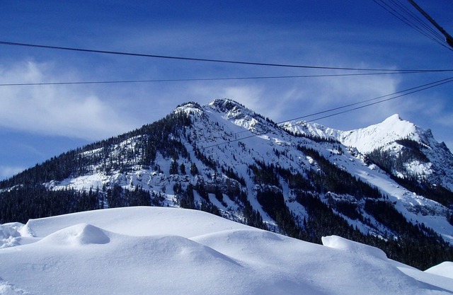 Yellowstone Park Mountain Retreat