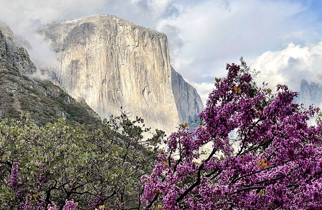 Großes Ferienhaus, ehemaliges B & B, in Yosemite