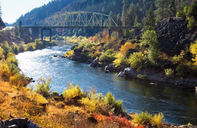 Your Home Away From Home! 4 Amazing Units, Close to Rogue River. Free Parking!