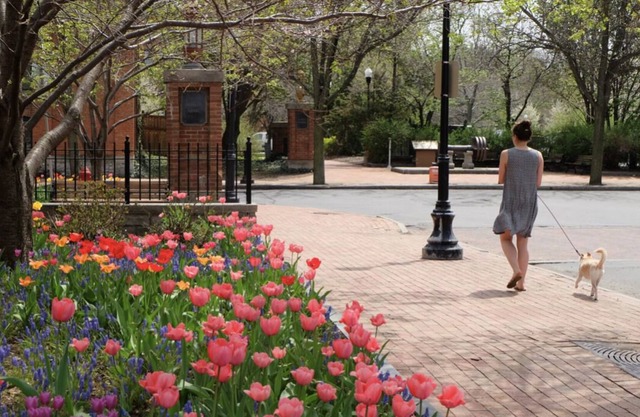 Your Ideal Urban Oasis in the Heart of Syracuse