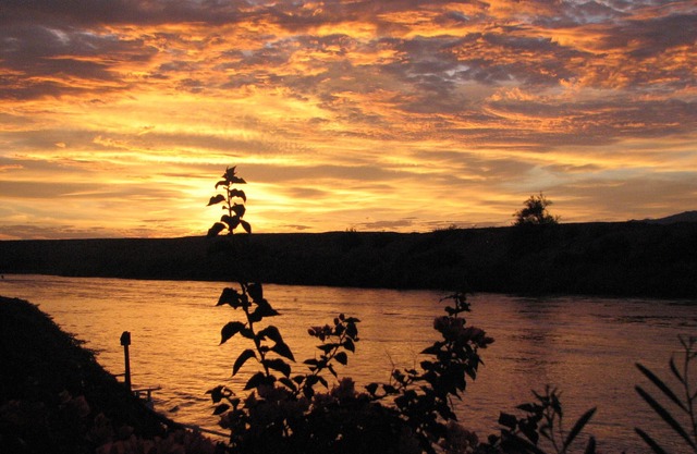 Ihr eigenes Dock am Colorado River