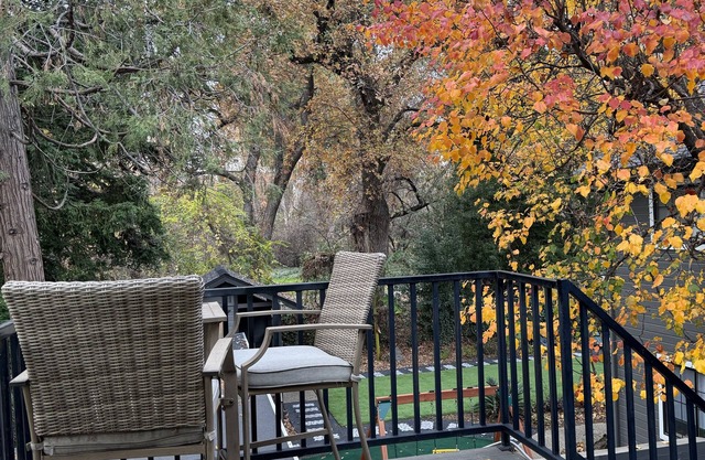 Modernes Baumhaus mit Blick auf Bidwell Park
