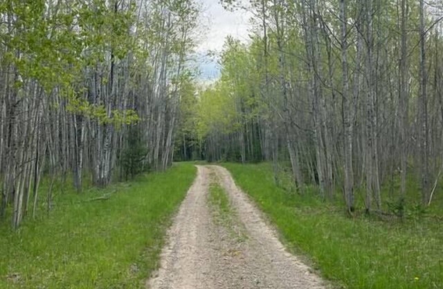 Your own private deep woods experience