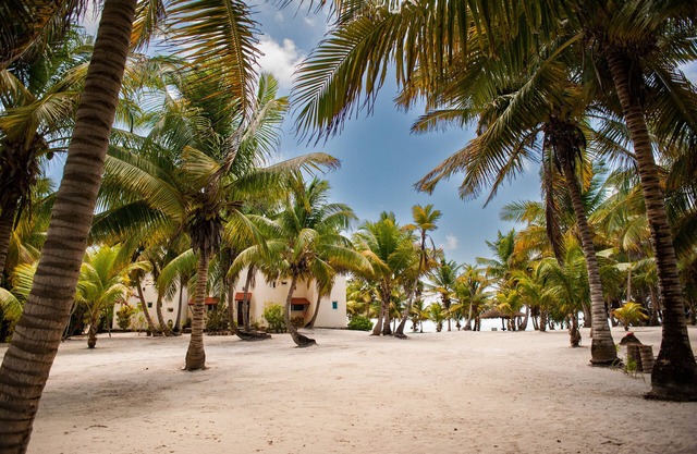 Yum Botic Villa, Costa Maya Mahahual Mexico -100 feet from beach! home house