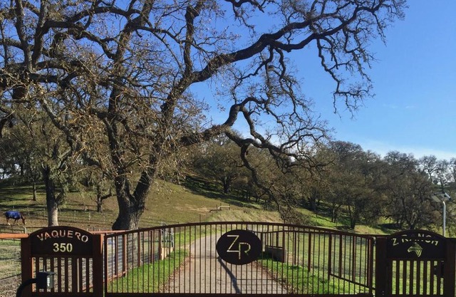Z Ranch