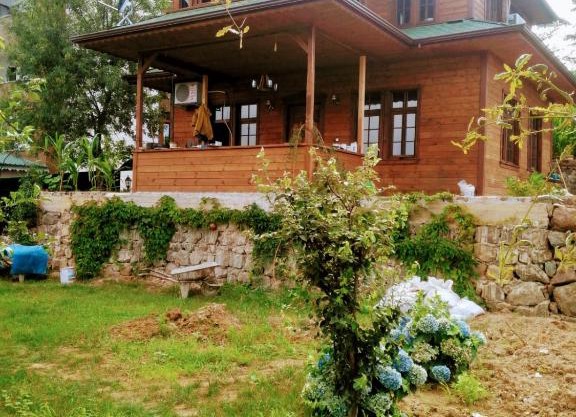 Zahi Bungalov