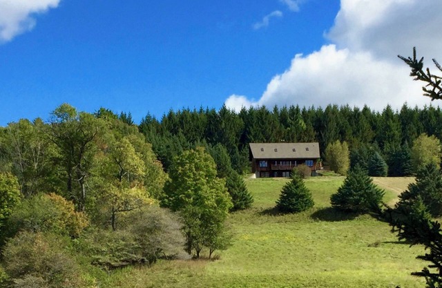 Zelený Les: Haus in einem abgelegenen 100 Hektar großen Wald mit Wiesen, Teich und Bach