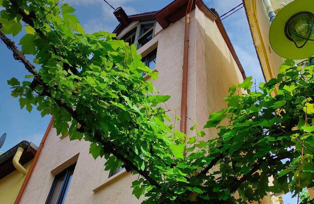 Zeller Kehr - außergewöhnliches Haus mit toller Aussicht - Zeller Kehr