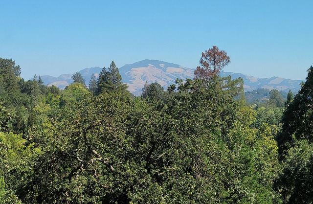 Zen Garden Getaway w/ Mountain View