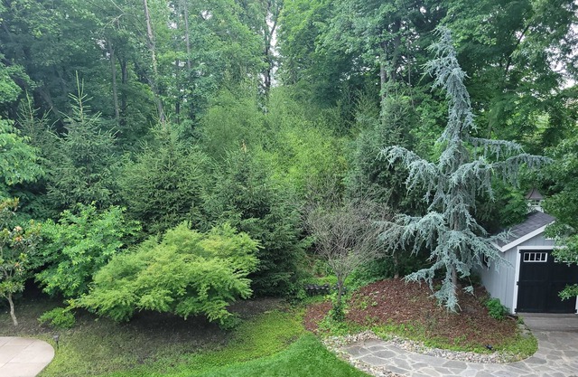 Zen Retreat minutes from Princeton...