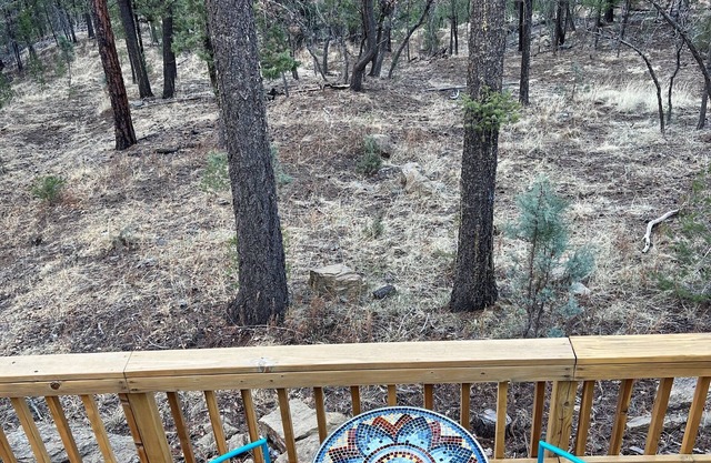 Zia Den Cabin located beneath the Ruidoso Pines