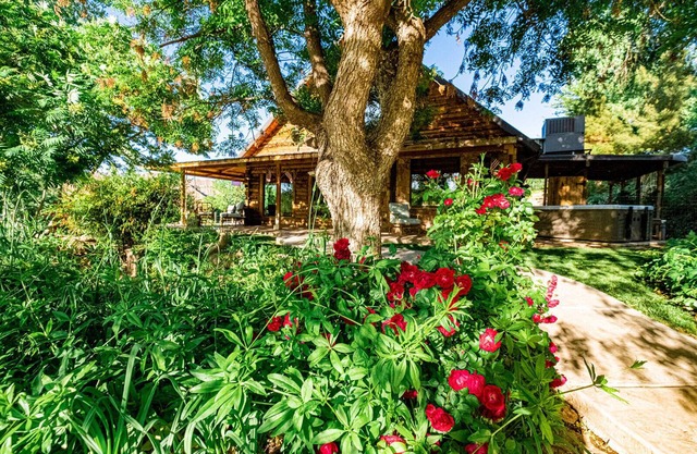 Zion's Cabin and Boujee Barn