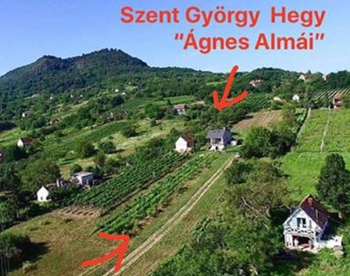 Kisapati Haus | Ágnes almái Ágnes apples