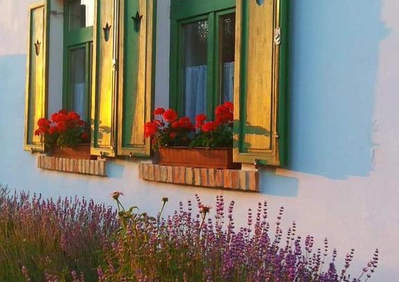 Bakonyszucs Haus | Égkőris Vendégház