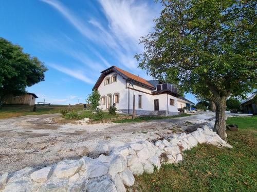 Cestin Haus | Čenovický dvůr