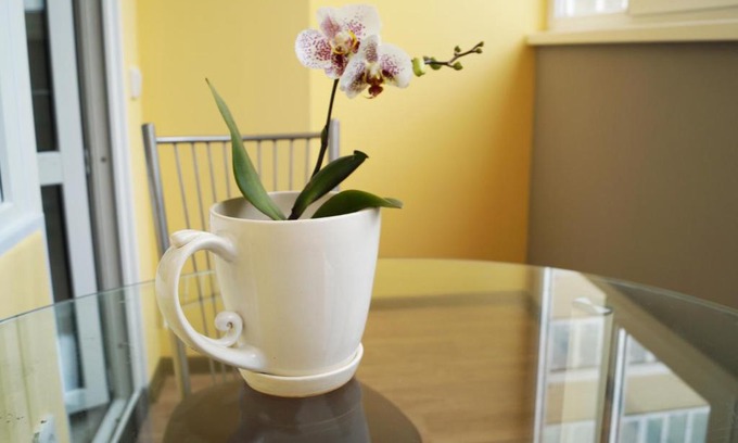 Ryazan Wohnung | Апартаменты ЧАЙКА ART двухкомнатные