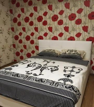 Pashkovskiy Wohnung | квартира на Кирова